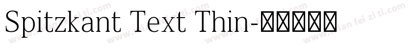 Spitzkant Text Thin字体转换